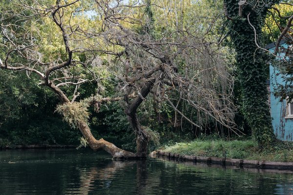 Uncovering Effective PTSD Relief: Top Strategies for Military Veterans That Truly Work