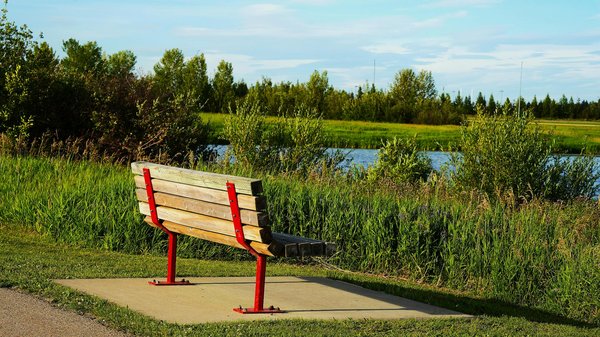 Top Strategies for Seamlessly Introducing a Plant-Based Diet to Your Kids