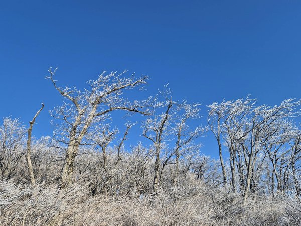 Top Techniques for Seniors to Master Blood Sugar Management and Monitoring